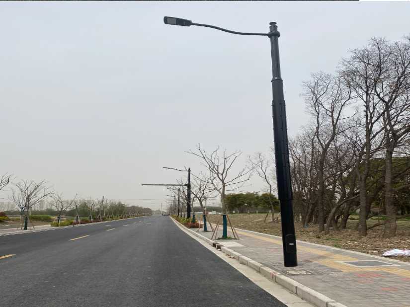 清远市上海综合杆 太阳能路灯工程
